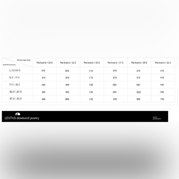 NEW Leutus Women's Lace Embroidery Push Up Bra 38D 36D Black Sheer Underwire - Picture 4 of 5